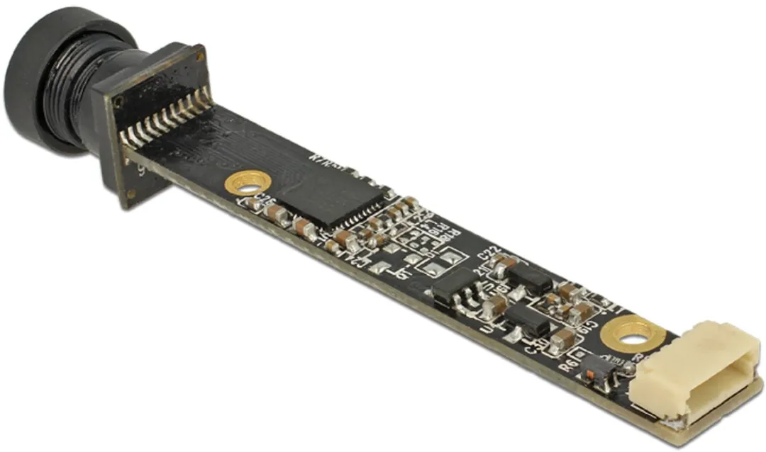 Delock USB 2.0 Camera Module 96383