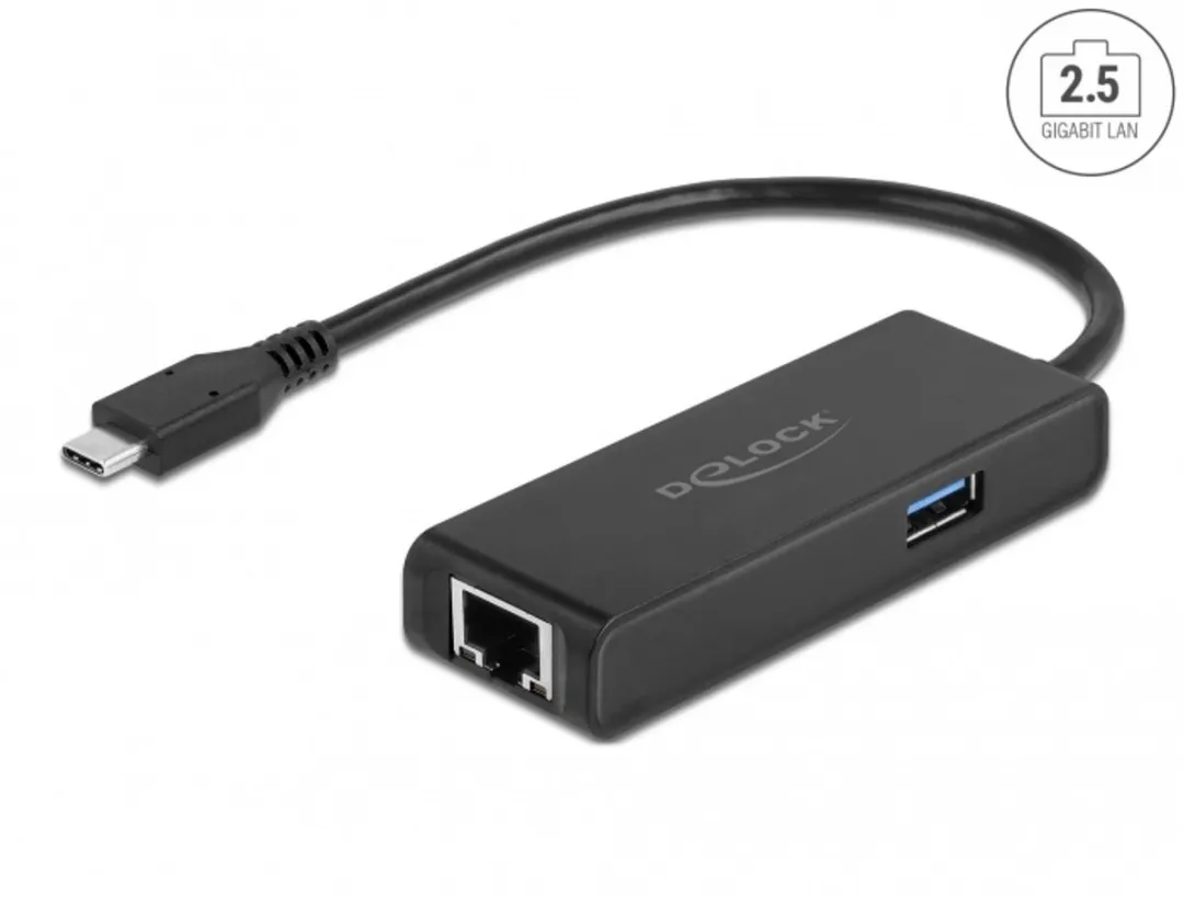 Delock 63826 USB-C naar 2.5Gbps LAN Adapter - Zwart