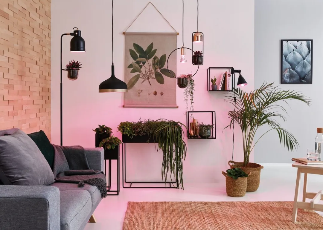Paulmann Neordic Hanglamp Tasja E27 20W - Zwart/Koper