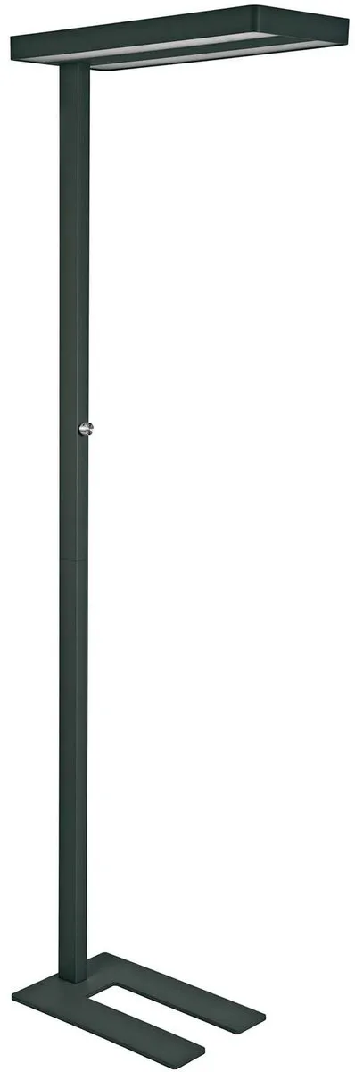 MAULjaval LED Vloerlamp - dimmbaar - standvoet - zwart - 1 stuk - 61 x 28 x 196 cm - MAUL