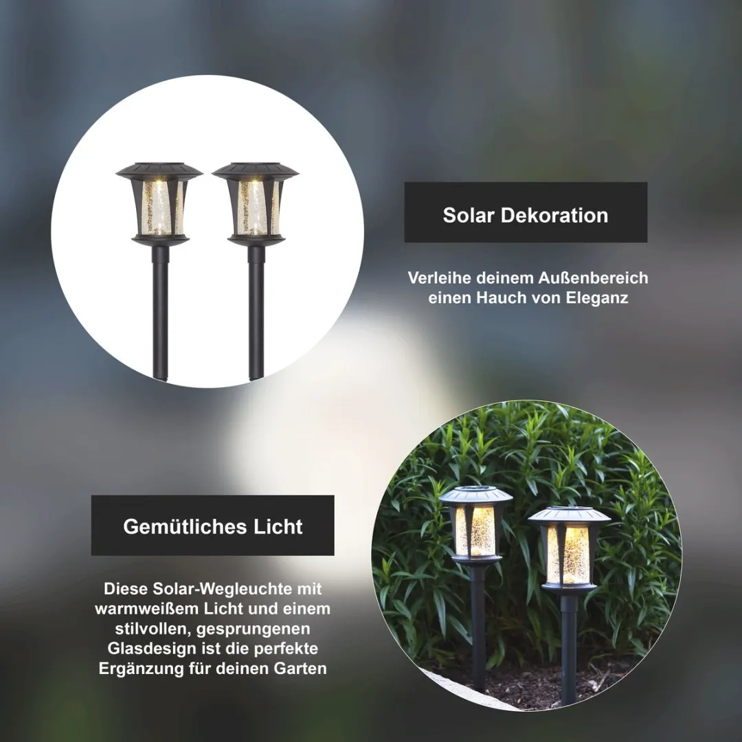 Star Trading 481-42 Grondverlichting LED - 0,03W - 2 Stuks - Zwart