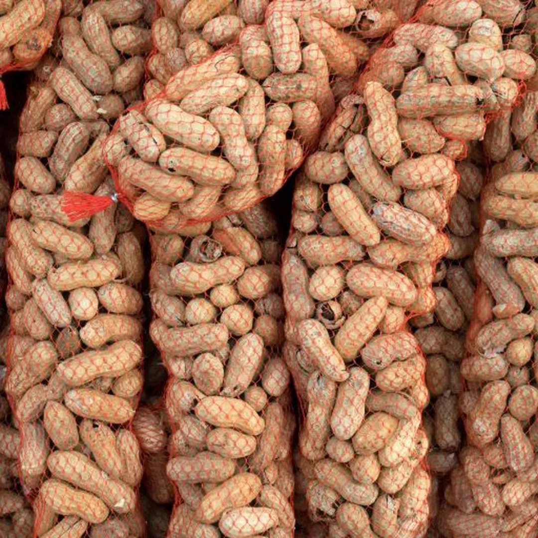 Topdiervoeding.nl Ongepelde Pindaslinger Doppinda Voederslinger 10x400g