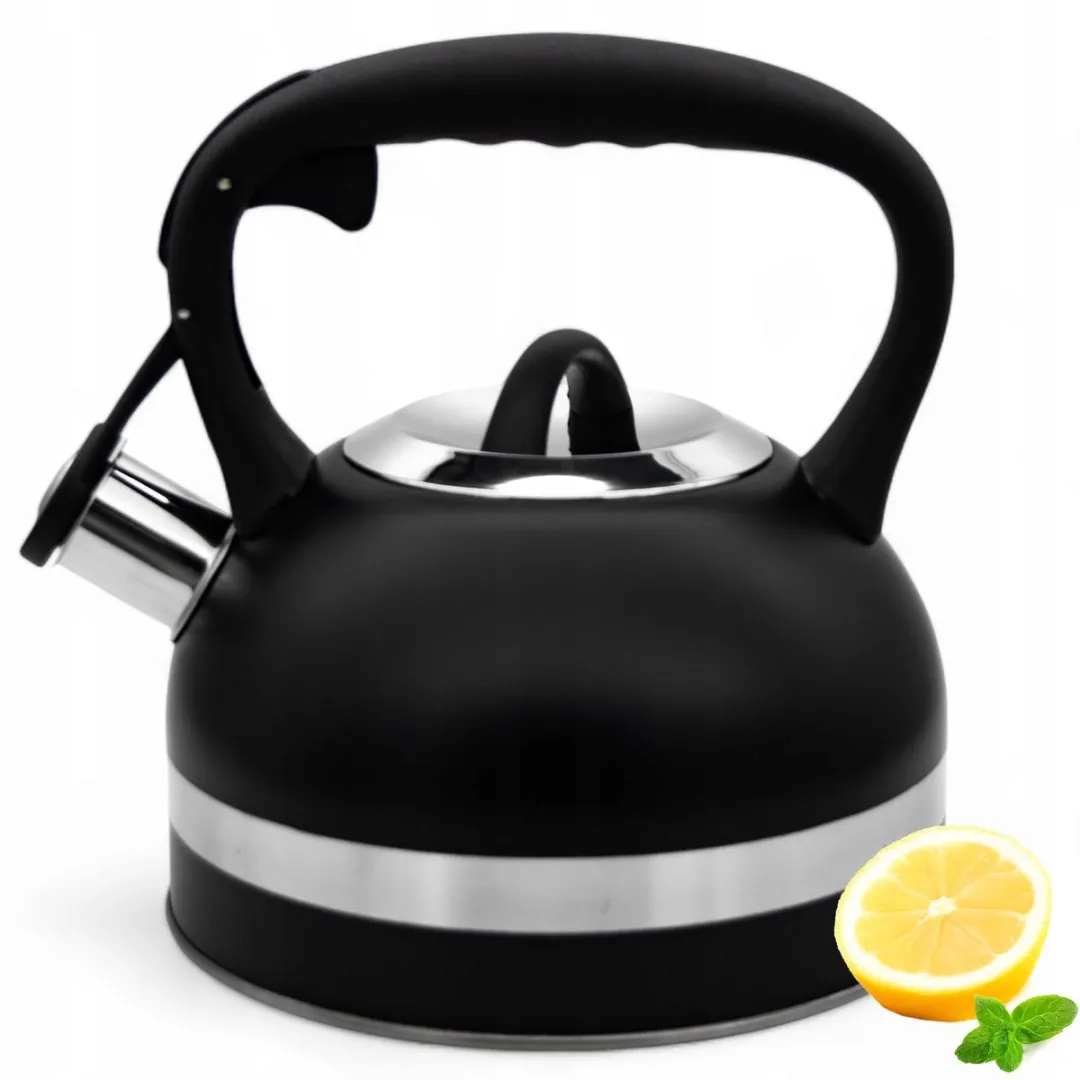 Meyerhoff RVS fluitketel 2,5 liter MH-4156F – Inductie fluitketel – Zwart – Met fluit – Hittebestendige handgreep – Voor gas en inductie