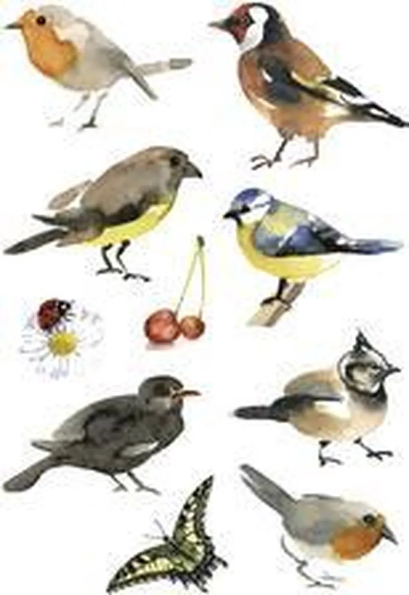 Herma 3351 Aquarel Vogels Stickers