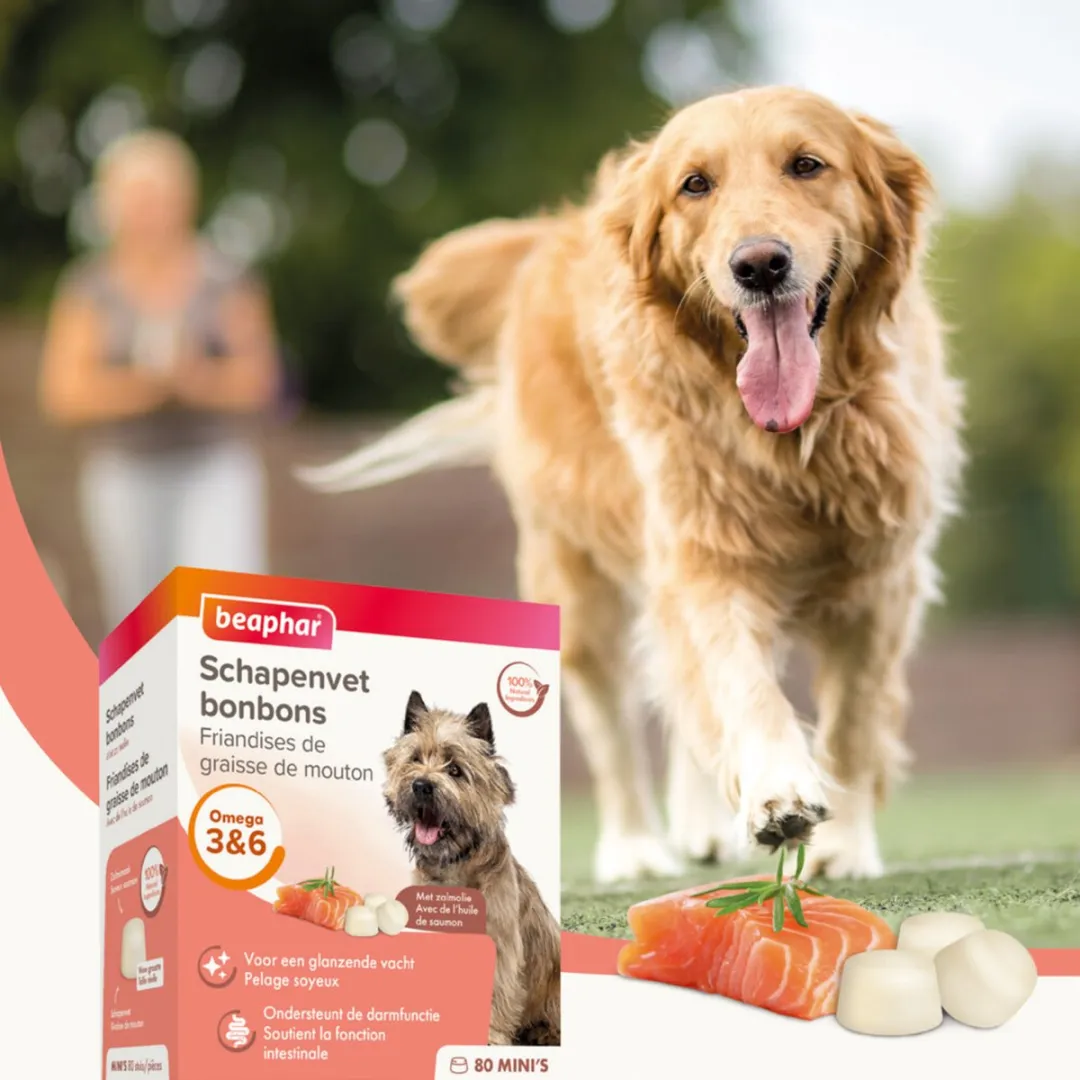 Beaphar Schapenvetbonbons Zalm - 6 Stuks