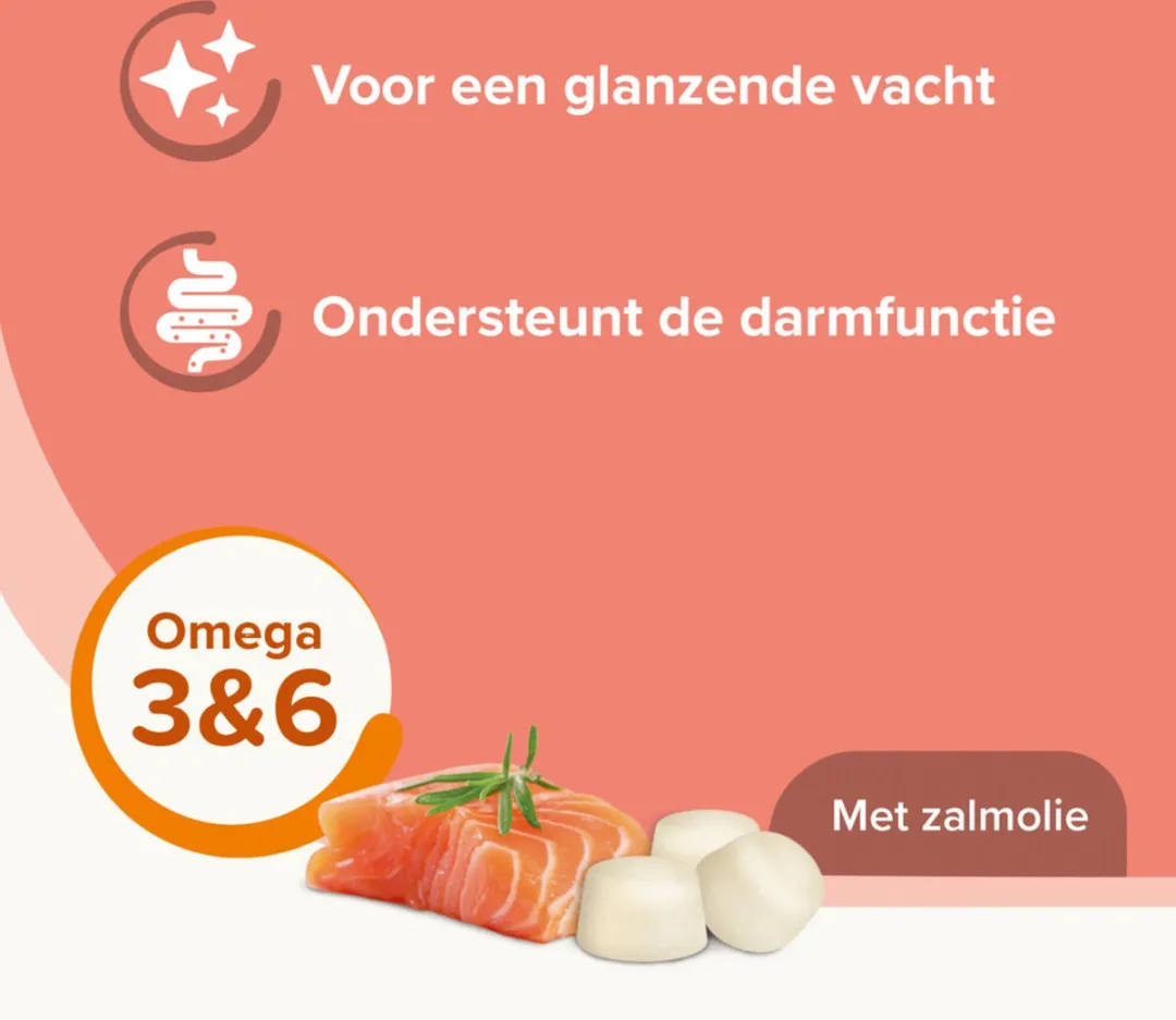 Beaphar Schapenvetbonbons Zalm - 6 Stuks