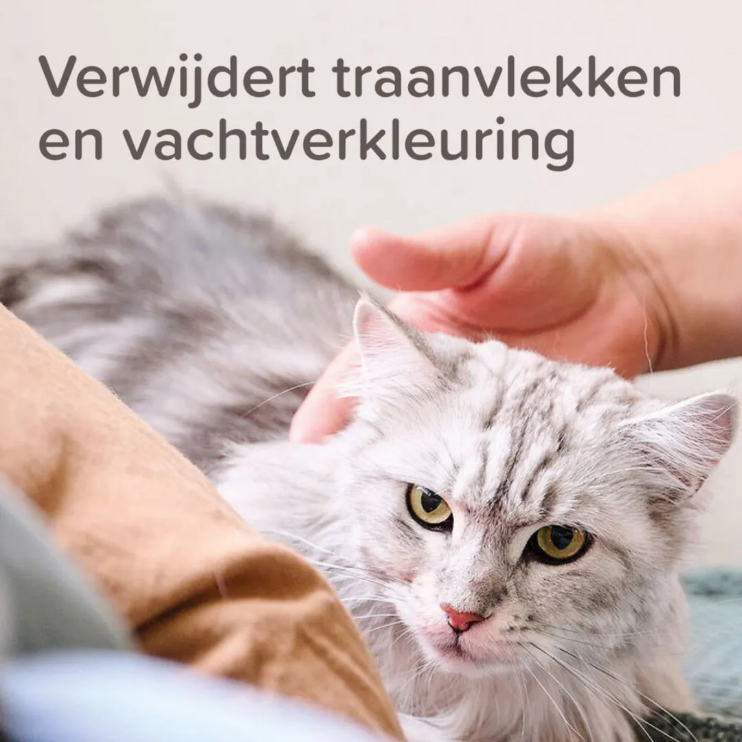 Beaphar Oftal Traansmeerverwijderaar 50ml