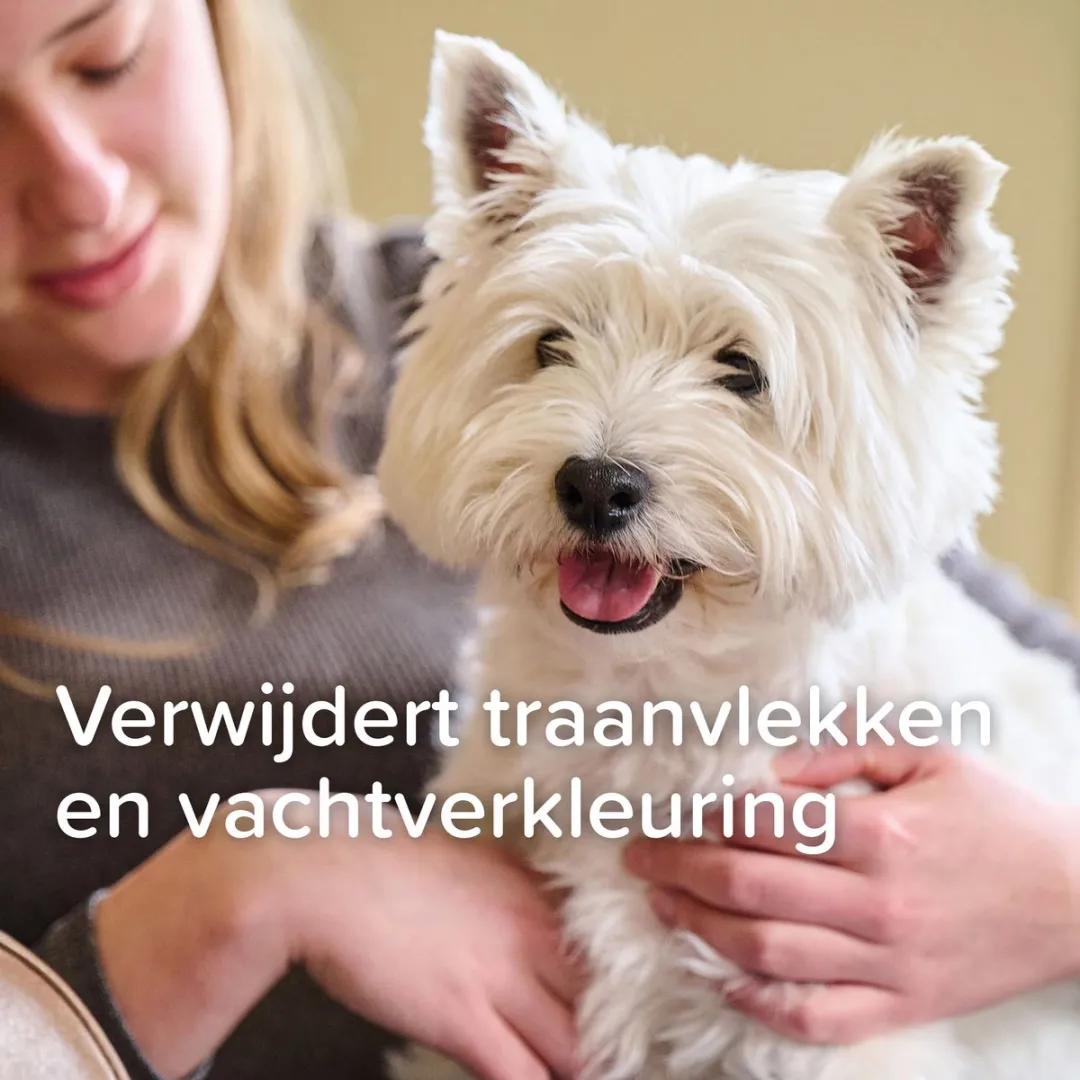 Beaphar Oftal Traansmeerverwijderaar 50ml