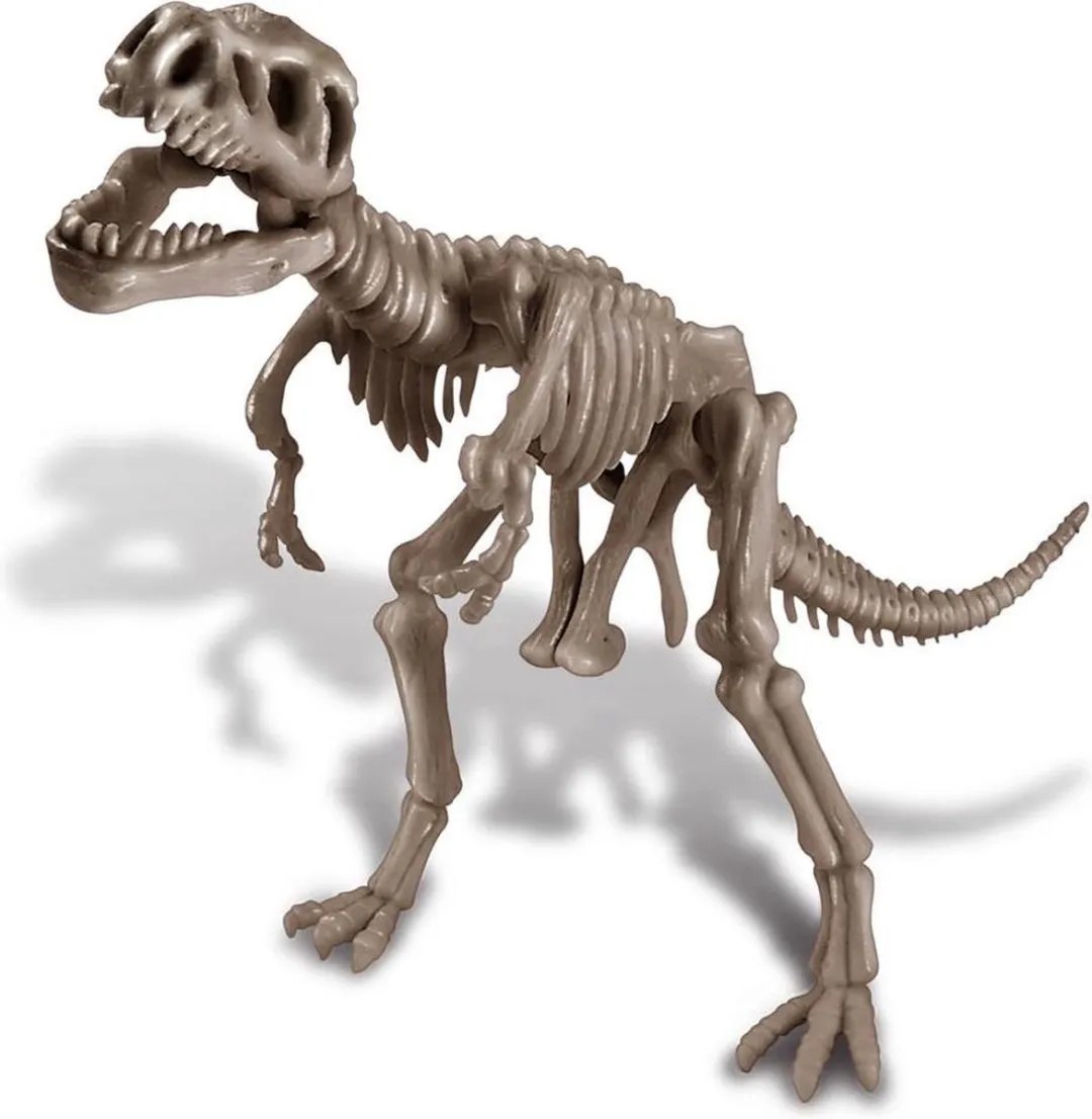 4M Kidzlabs Dinosaurus Graafset Tyrannosaurus Rex