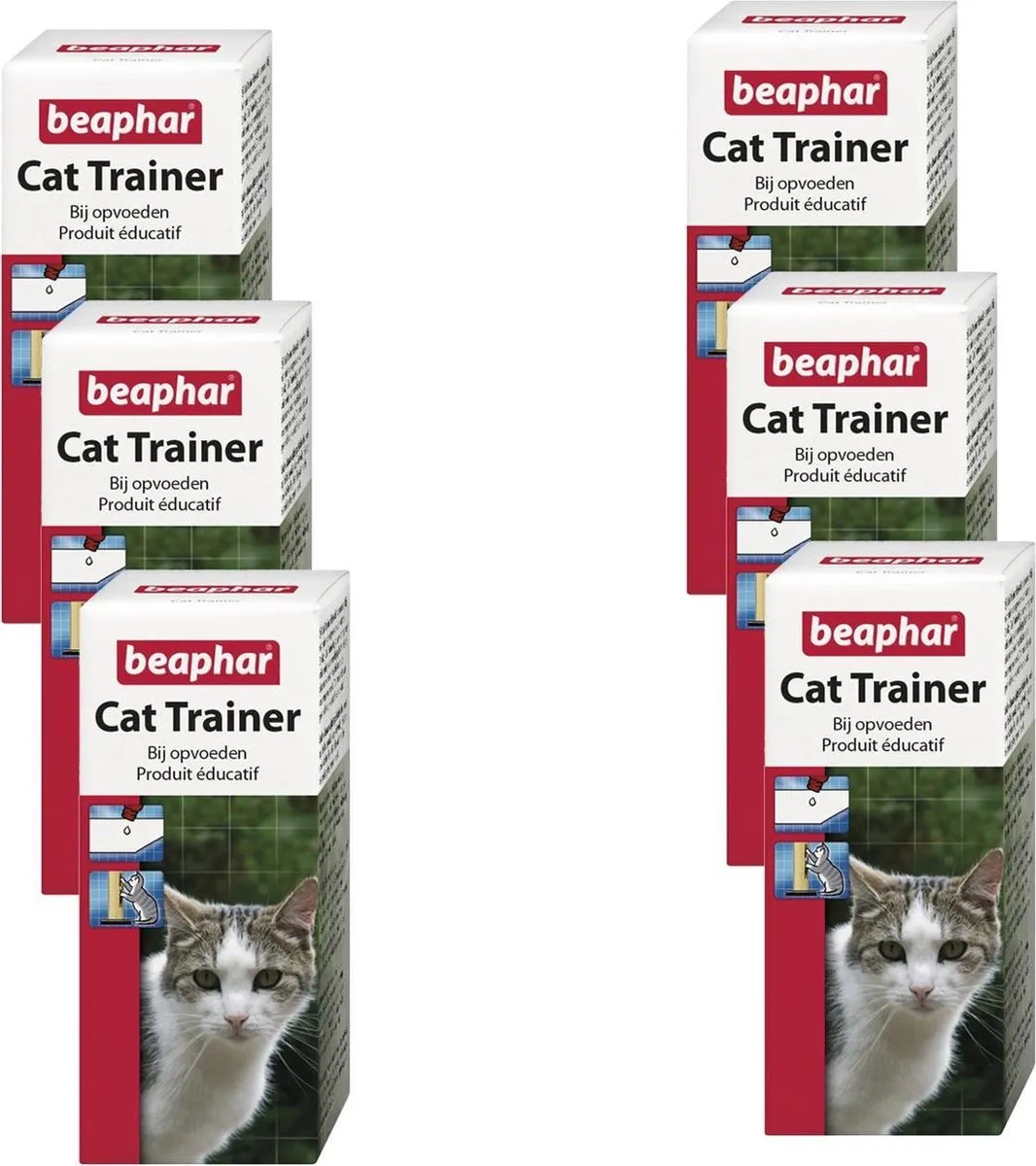 Beaphar Catty Trainer Kattenkruid - 6x10ml