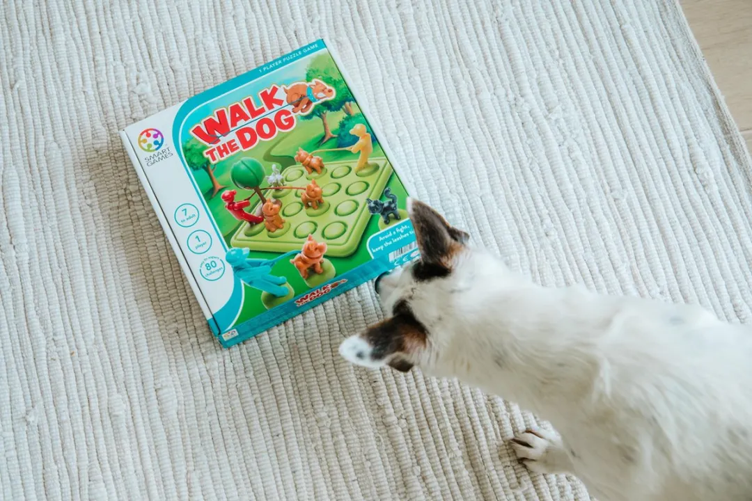 SmartGames Walk the Dog SG 427 - Denkspel - 80 Opdrachten