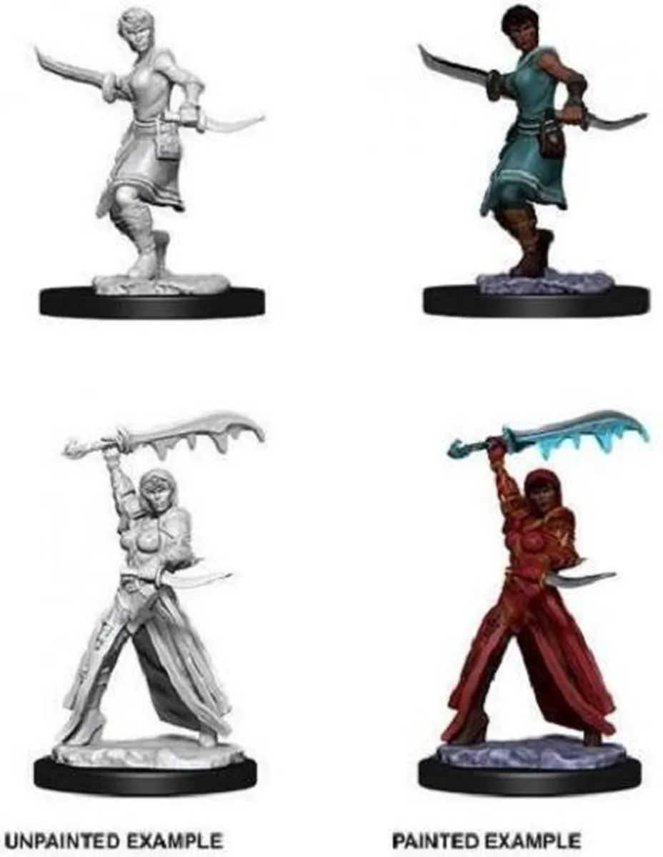 Wizkids Dungeons & Dragons Nolzur's Marvelous Mini Human Female Rogue