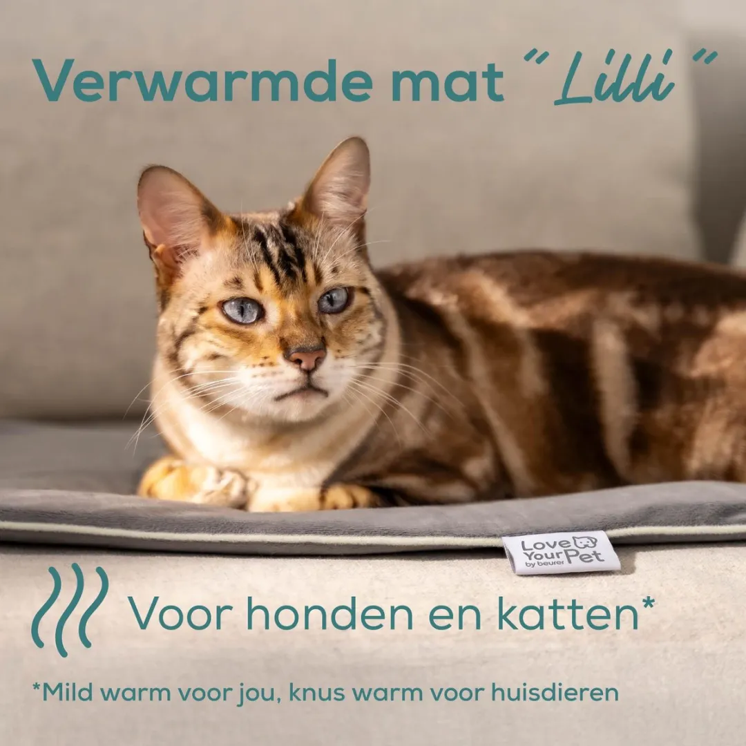 Beurer Lilli Verwarmingsmat - 41x34cm Grijs