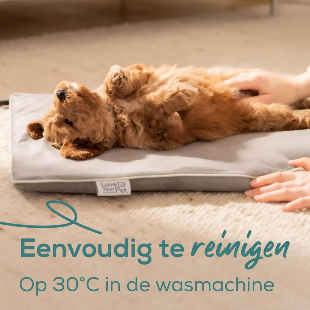 Beurer Lilli Verwarmingsmat - 41x34cm Grijs