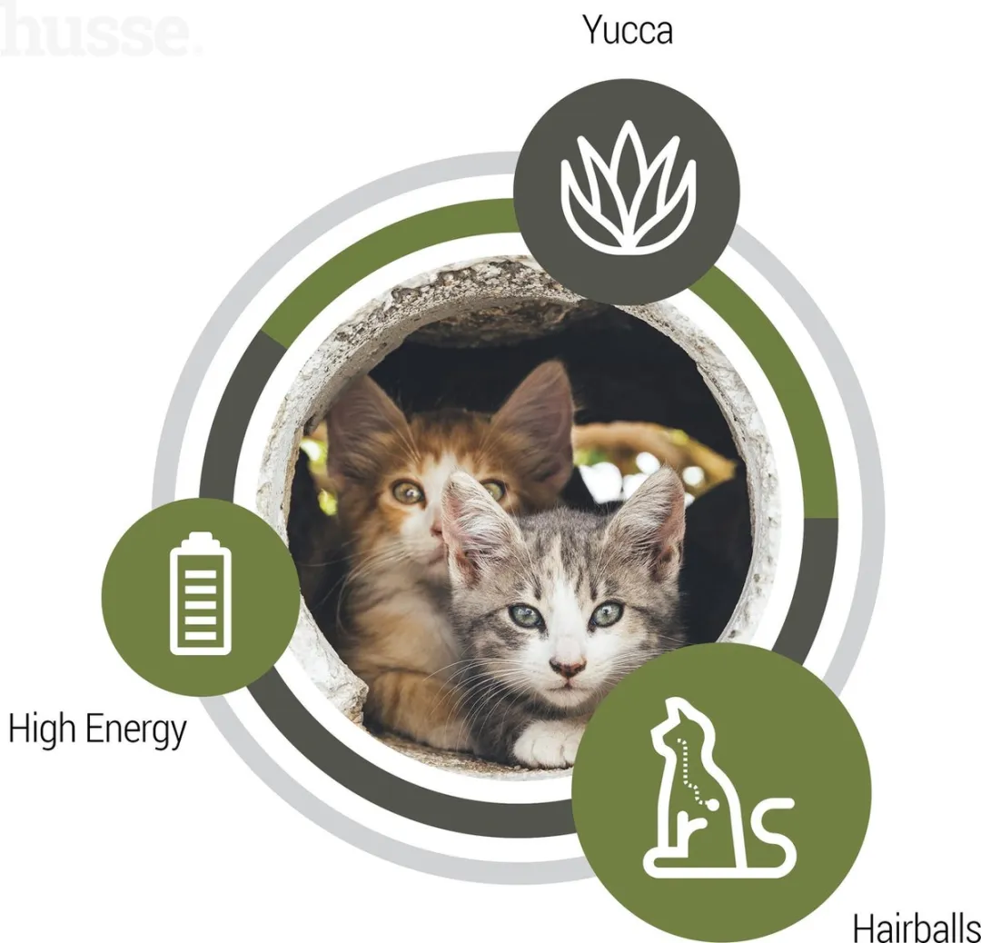 Husse Exclusive Lyster Care Kattenbrokken - 7 kg