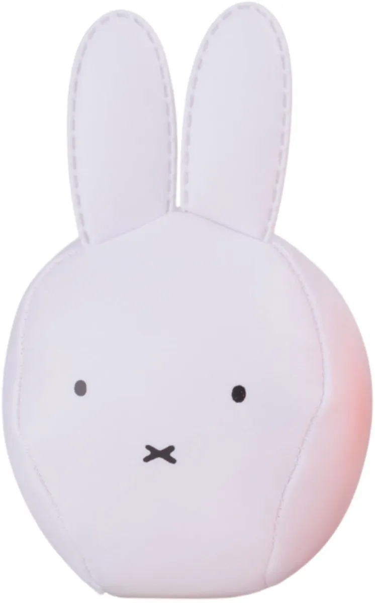 Rubo Toys Nijntje Mini Soft Bal - 12 Stuks - Ø7cm - Meerkleurig