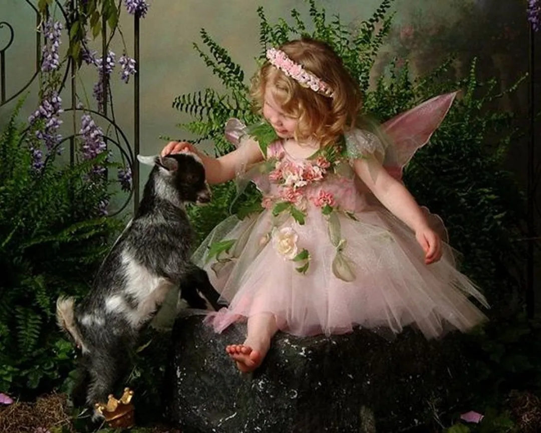 VDTOYS DIAMOND Painting VDTA102 Engel & Geitje