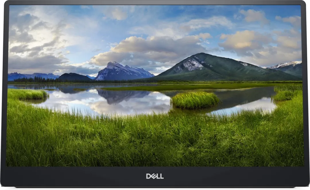 Dell P1424H Draagbare Monitor
