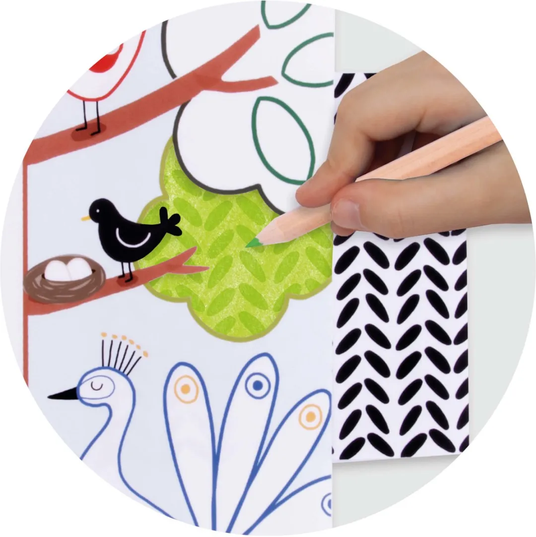 Apli Kids Kleuren met reliëf - 24 Vellen Meerkleurig