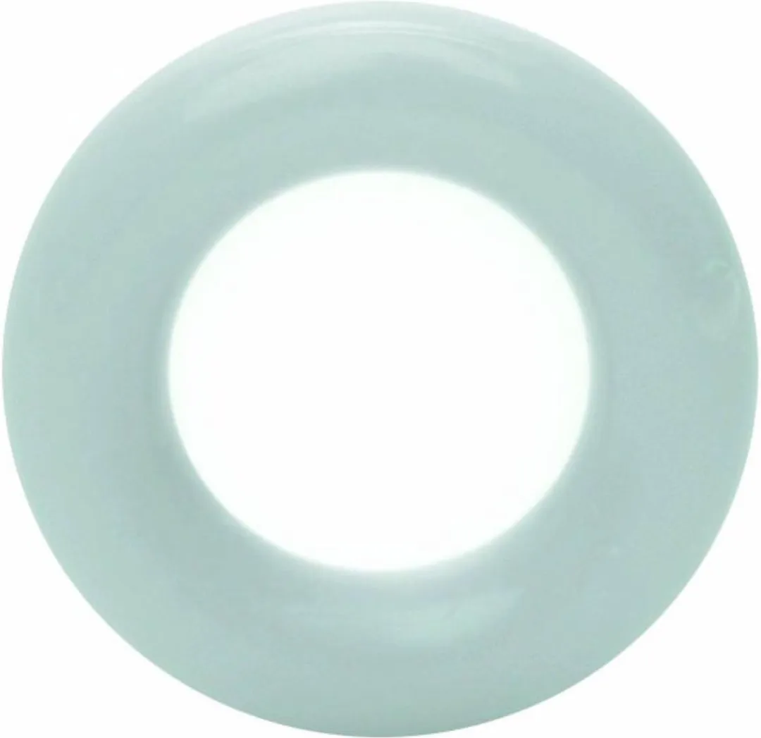 Durable Plastic Ringetjes 25mm - 5 Stuks - Lichtblauw