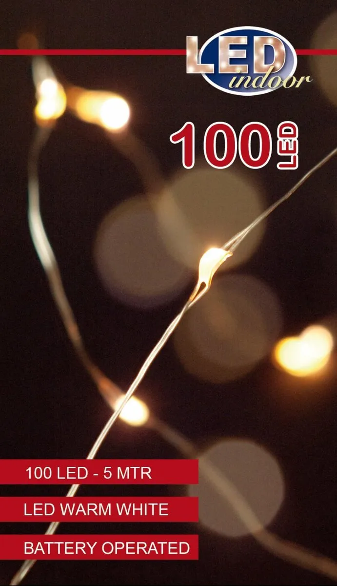 Anna's Collection Draadverlichting 100 LED Warm Wit 500cm