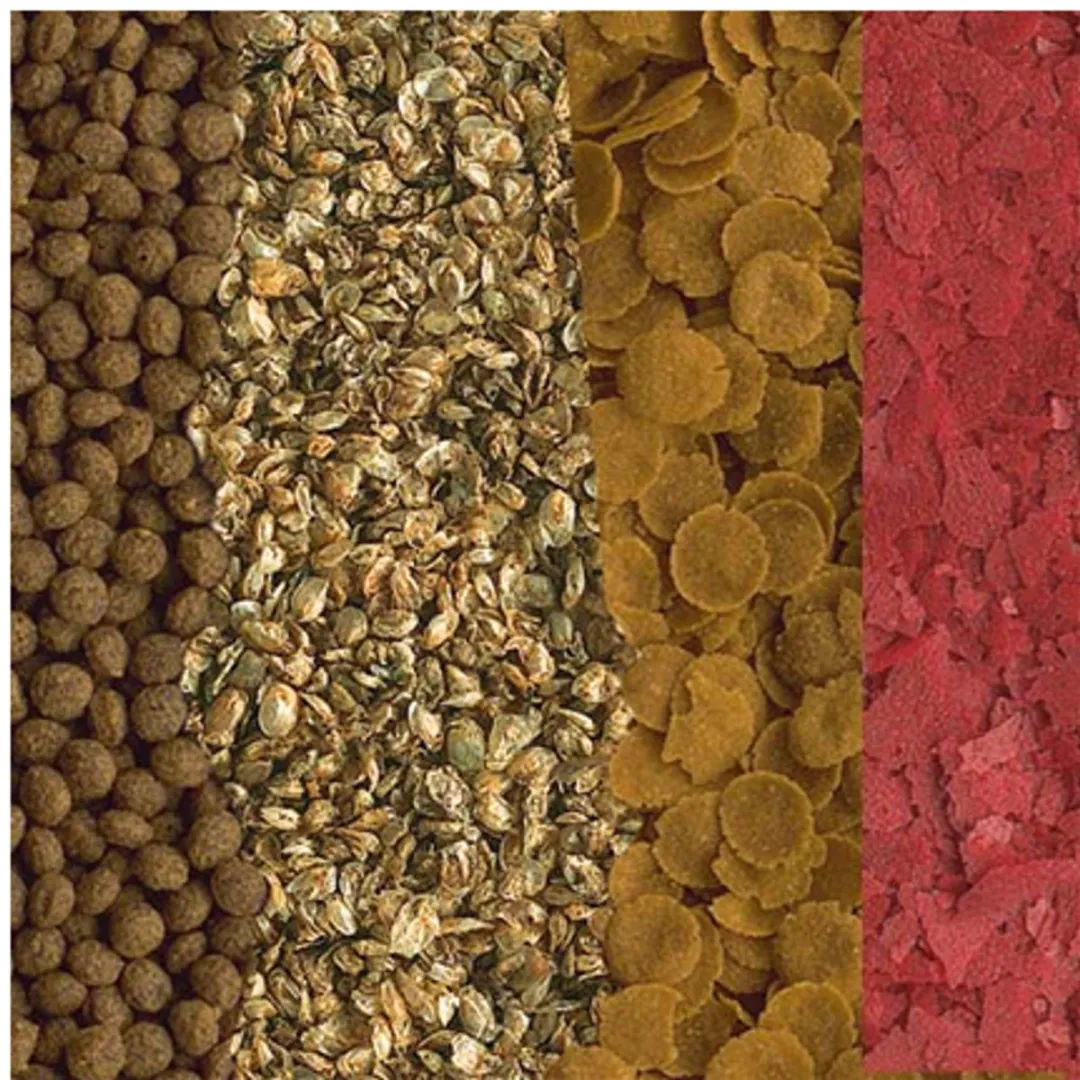 Tetra Goldfish Menu - 250 ml - 1ST