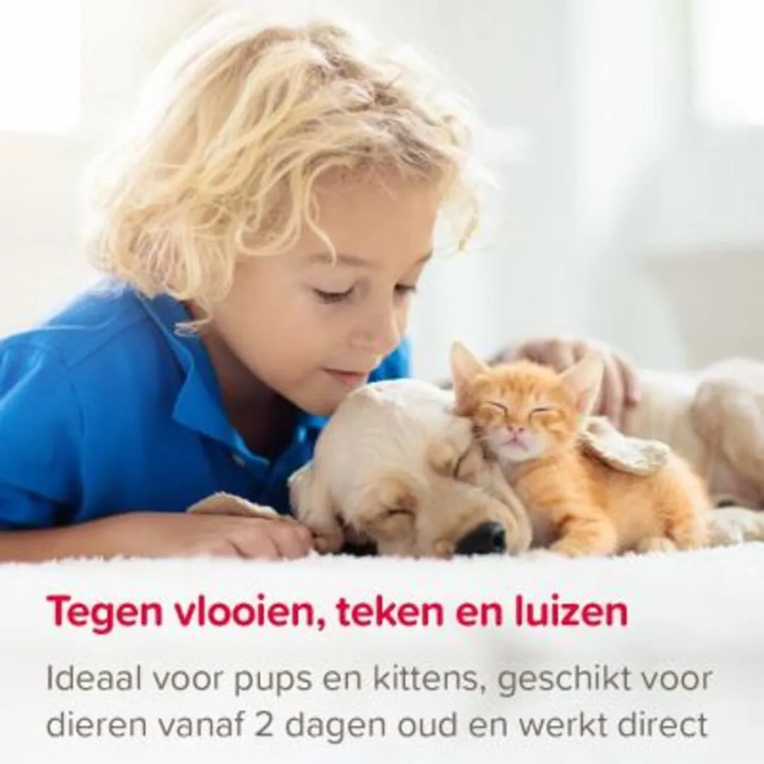 Beaphar Fiprotec Anti Vlooien & Teken Spray - 2x100ml