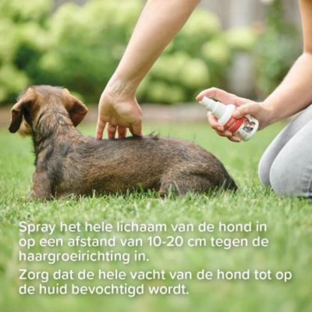 Beaphar Fiprotec Anti Vlooien & Teken Spray - 2x100ml