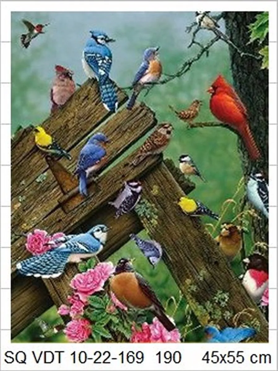 VDTOYS Diamond Painting VDTC190 - Beautifull Birds 4 - 45x55cm