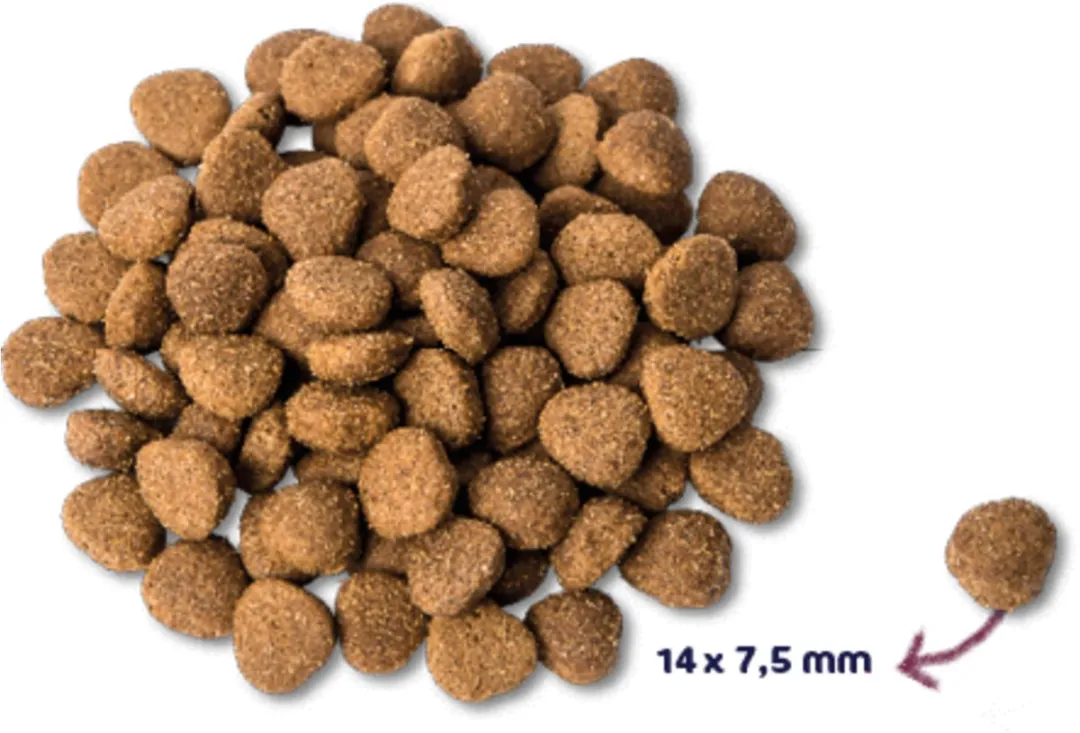 Renske - Super Premium Kalkoen en Eend - Hondenvoer - 12 kg