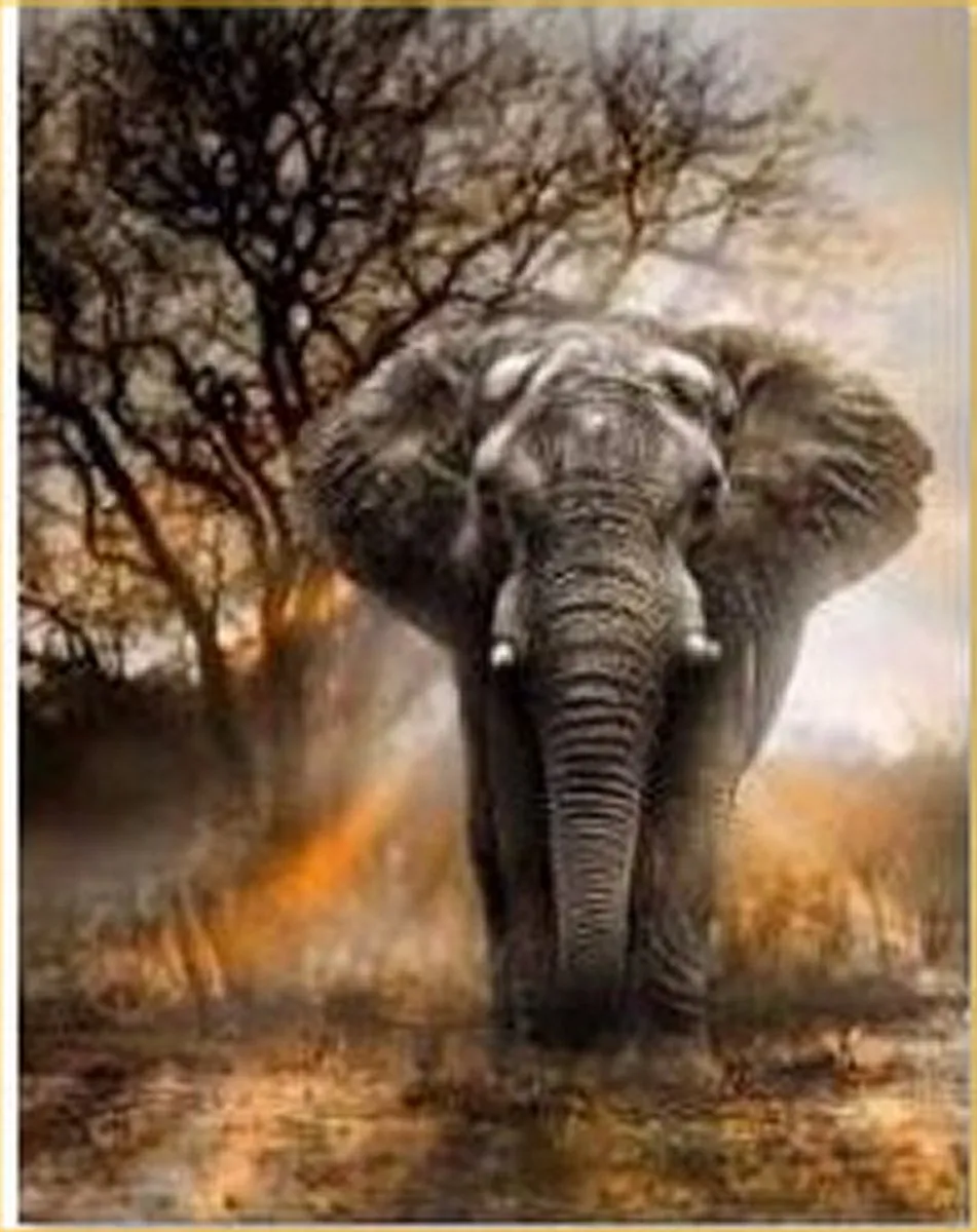 VDTOYS Diamond Painting VDT032 Olifant