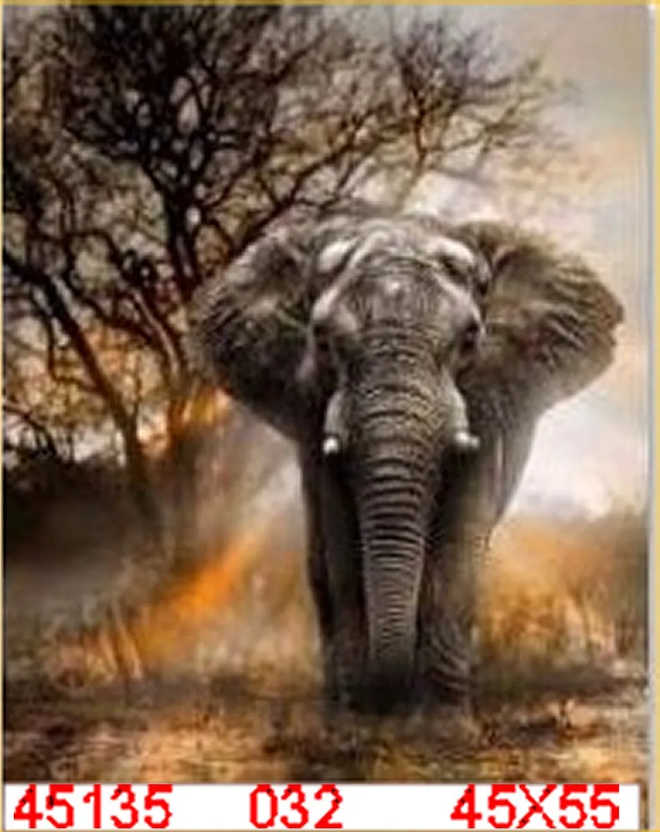VDTOYS Diamond Painting VDT032 Olifant - 45x55cm