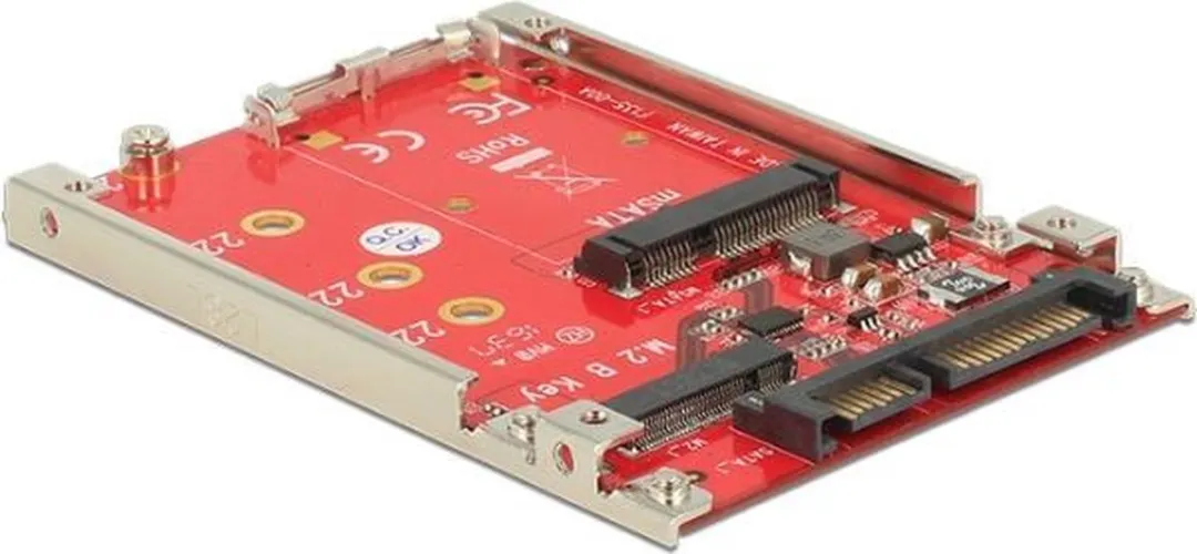 Delock SATA naar M.2/mSATA Converter 22 pin