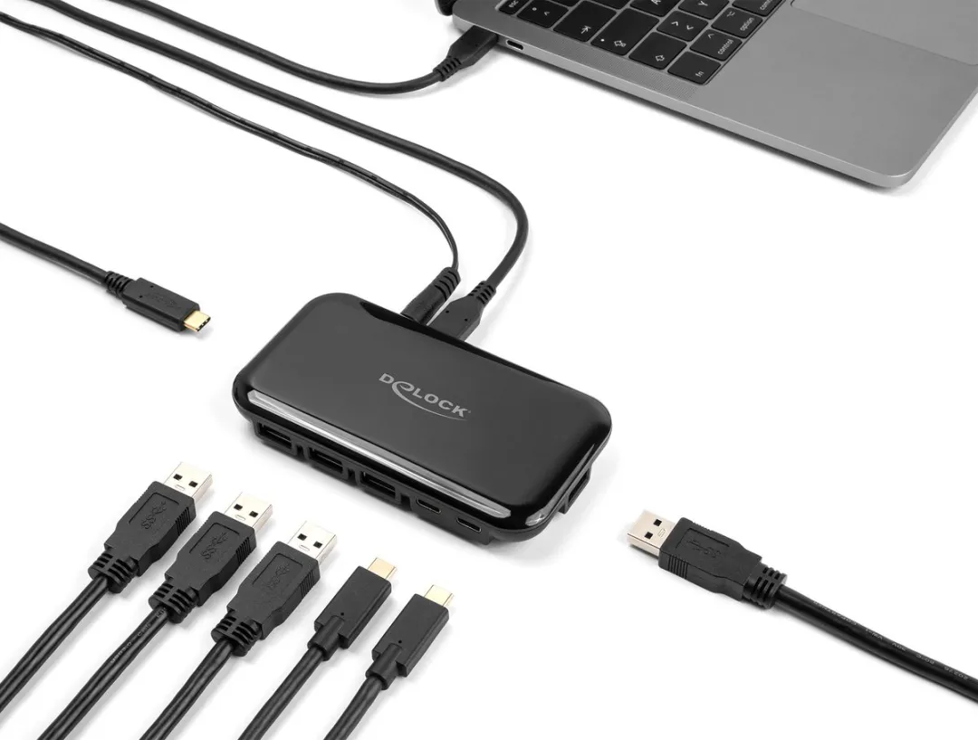 Delock 64209 USB 3.2 Gen 2 Type-C Hub - 10 Gbit/s - Zwart