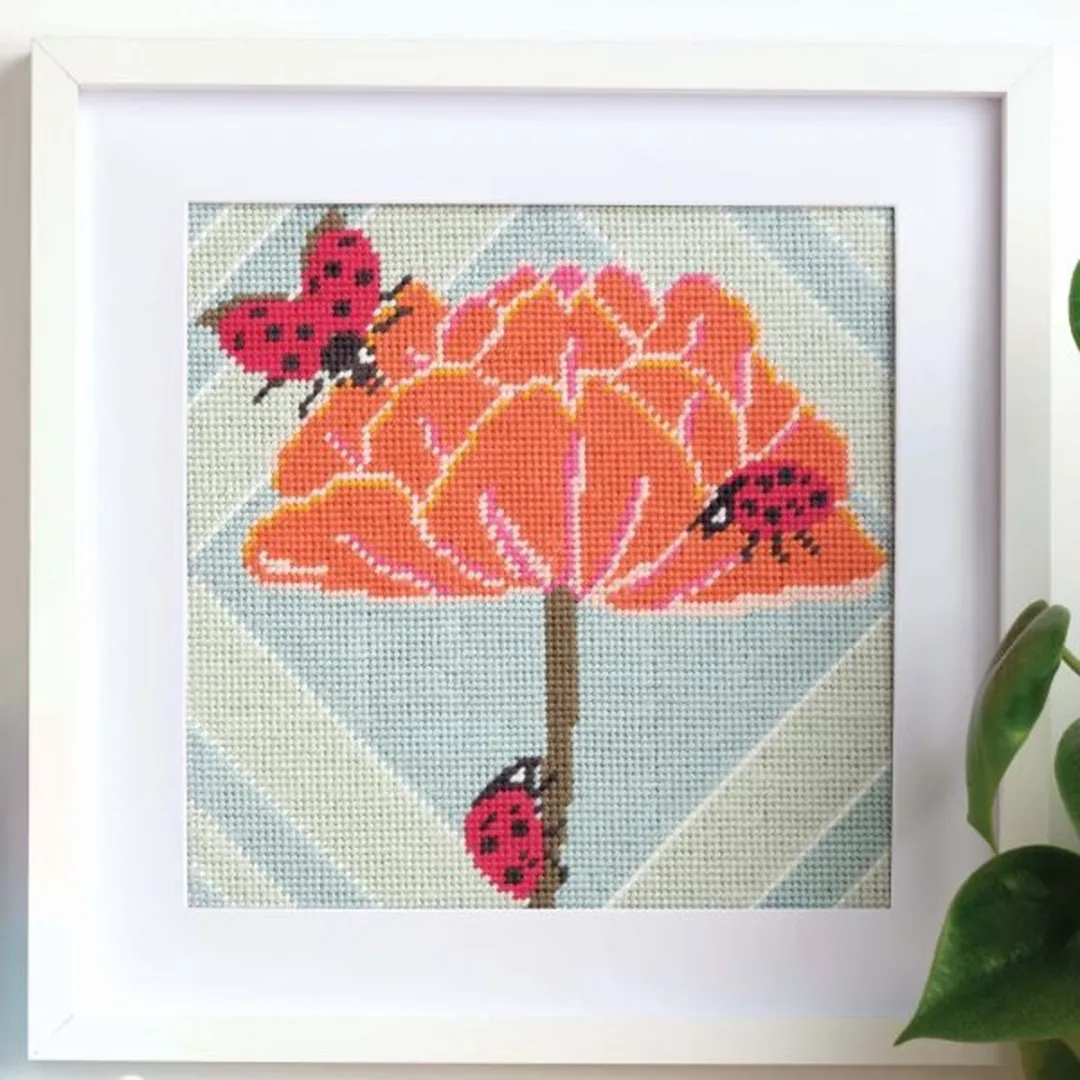 Anchor Lieveheersbeestjes Borduurpakket
