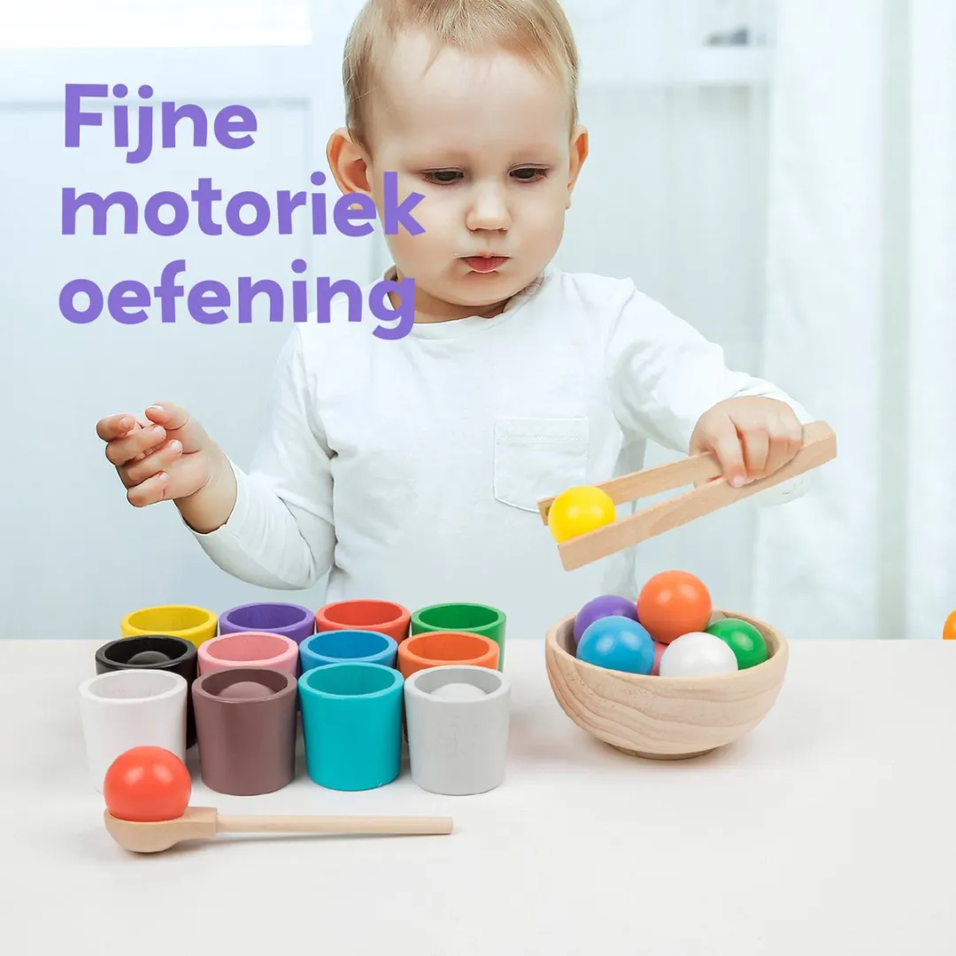 LiasToys Balls and Cups Houten Sorteerspel - 12 Bollen & Kopjes - Multi