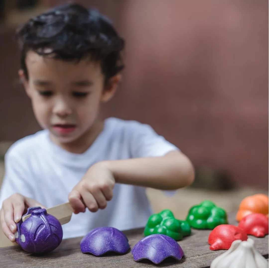 Plantoys Houten Groenten Set - Meerkleurig