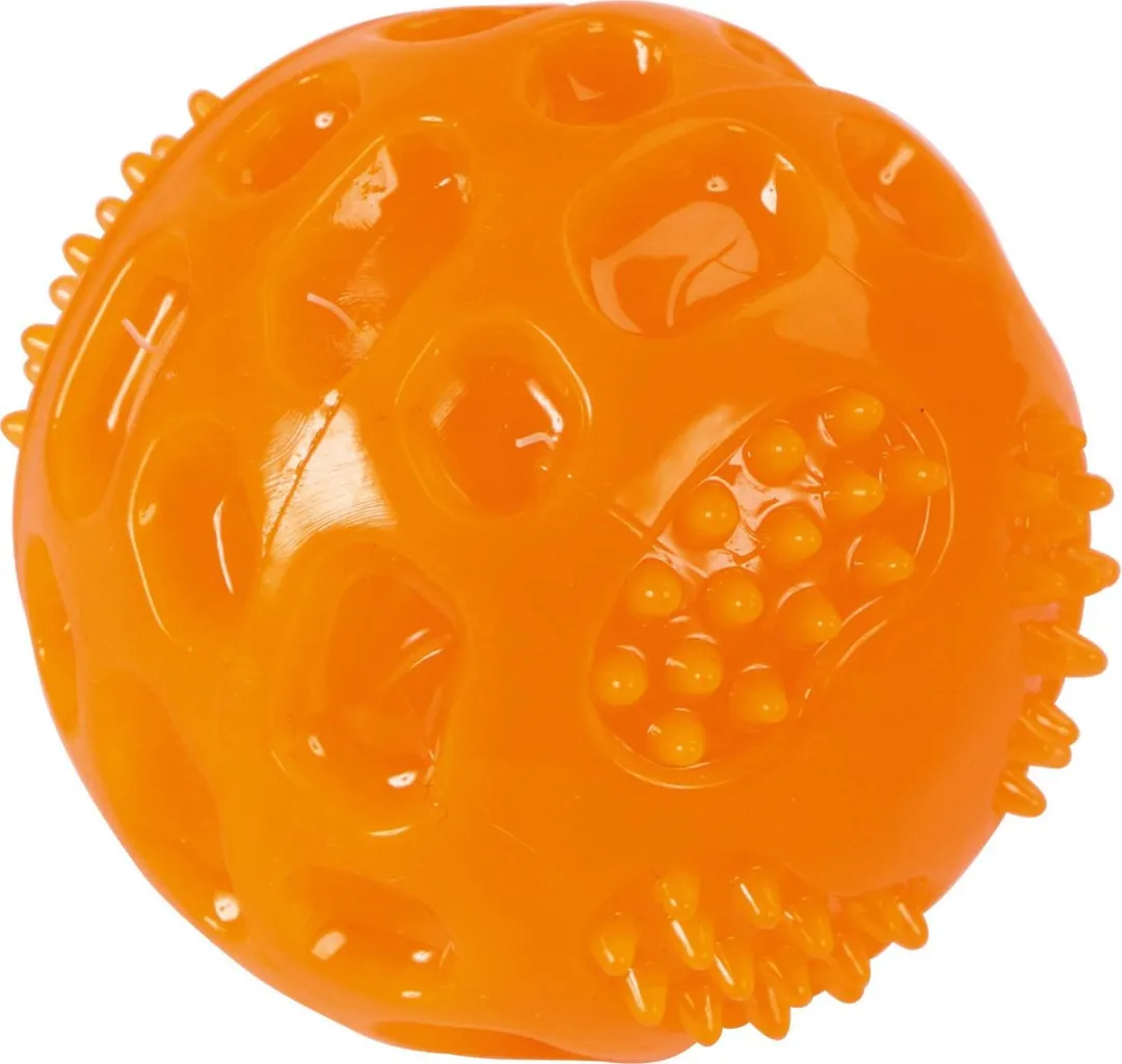 Kerbl Ball ToyFastic
