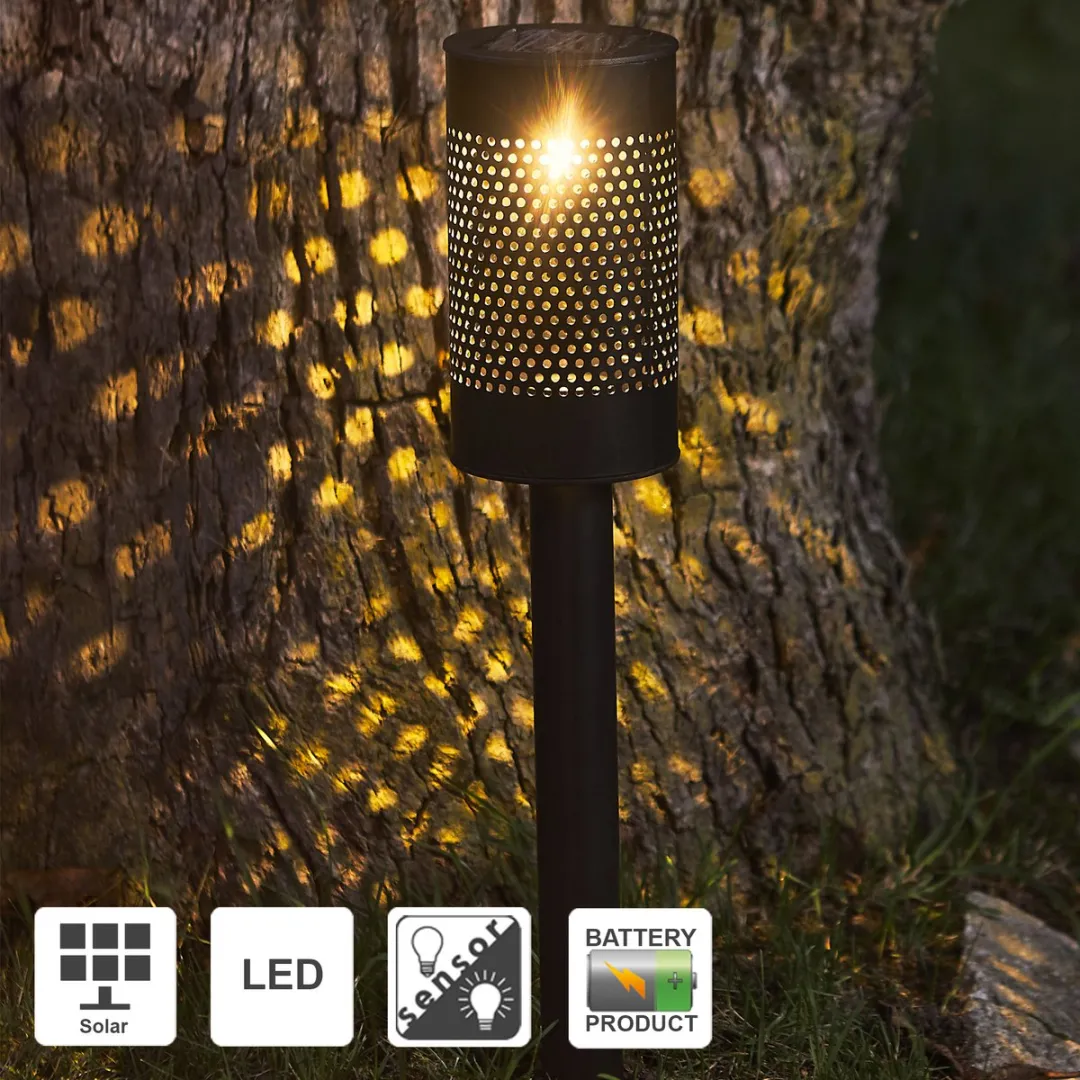 Star Trading Zonne-energie Tuinlamp Blace - Ø8.5cm - Zwart