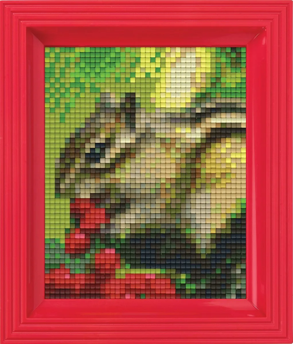 Pixelhobby Geschenkset Eekhoorn 31236