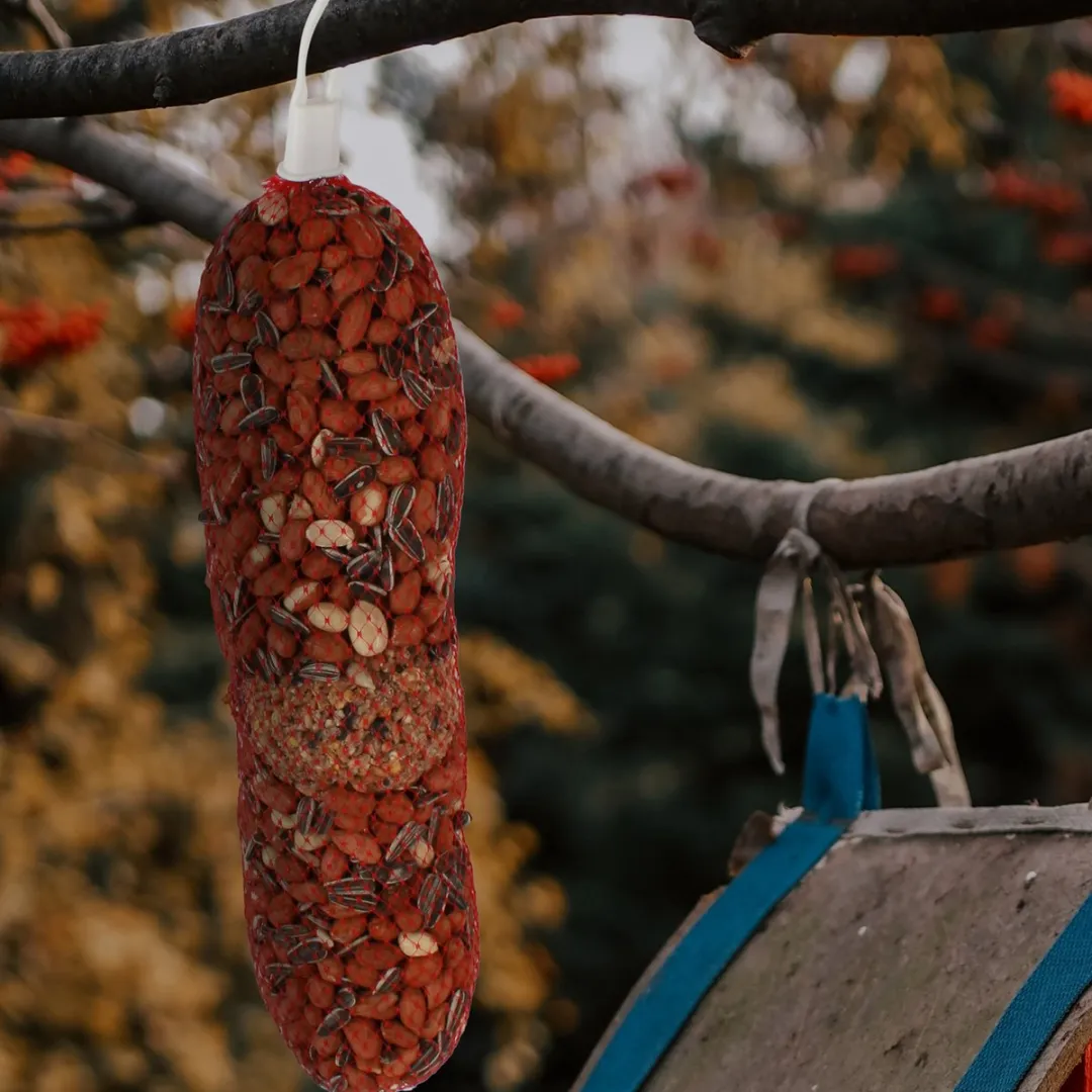 Topdiervoeding.nl Pindaslinger met Mezenbol - 5kg