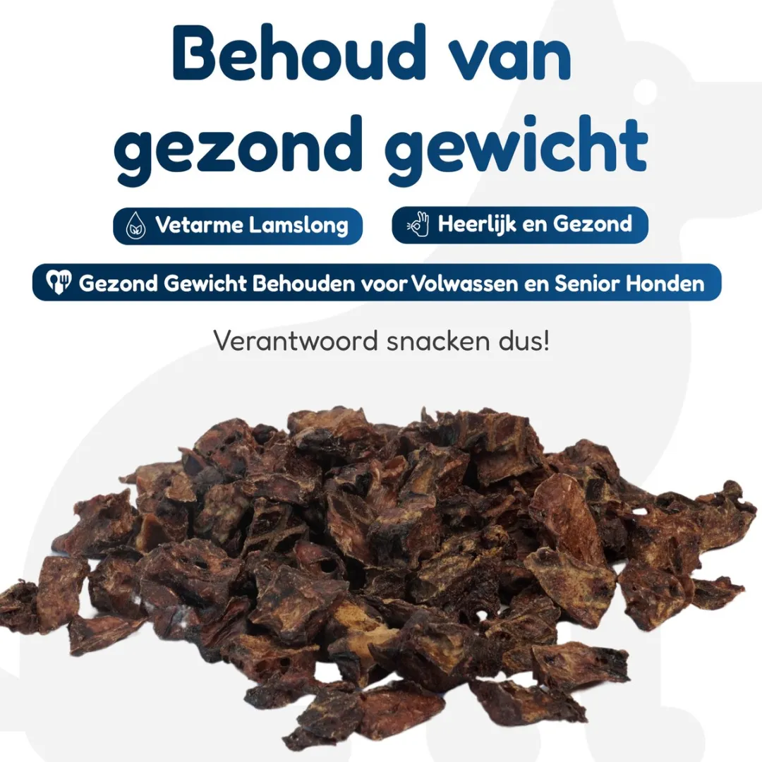Topdiervoeding Lamslong Trainers Hondensnack 1000g
