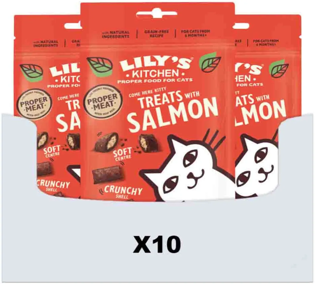 Lily's Kitchen Kom Dan Poes! Kattensnacks Zalm 10x60g - afbeelding 6 van 6