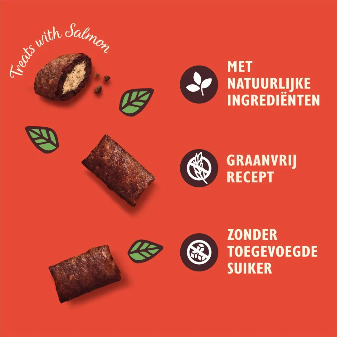 Lily's Kitchen Kom Dan Poes! Kattensnacks Zalm 10x60g