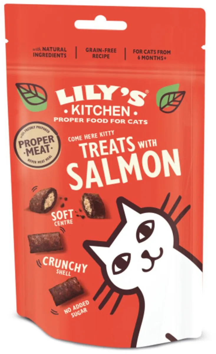 Lily's Kitchen Kom Dan Poes! Kattensnacks Zalm 10x60g