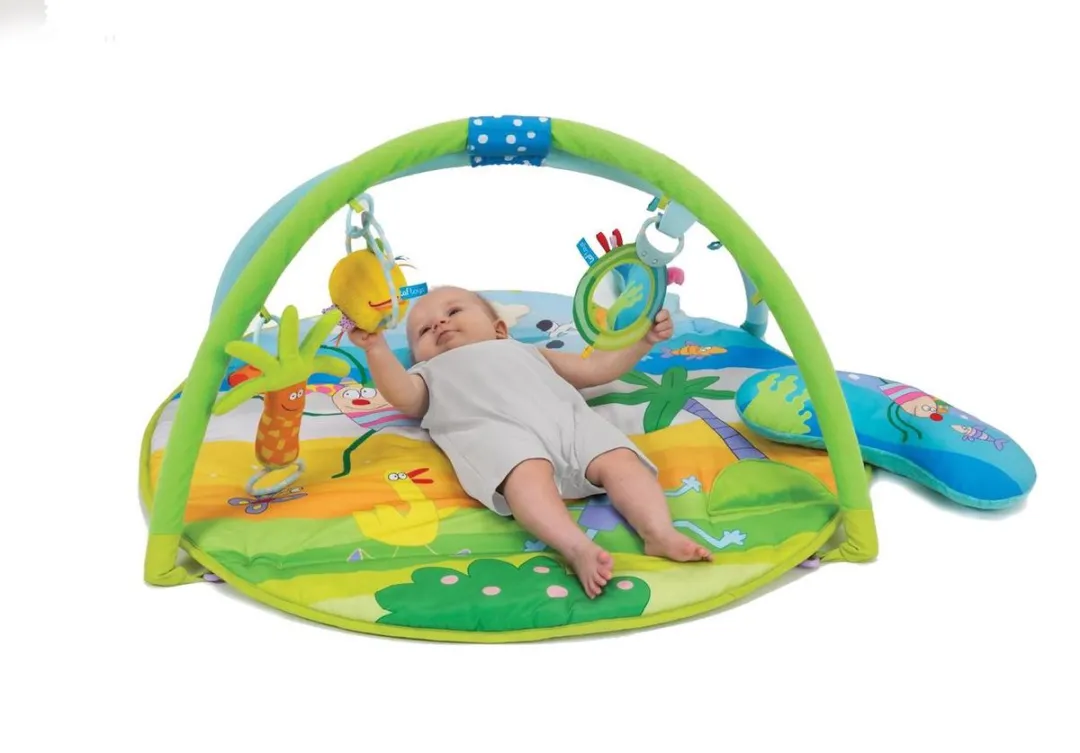 Taf Toys Baby Gym Speelkleed - 8 Speelelementen - Blauw/Groen/Geel/Oranje/Rood/Roz