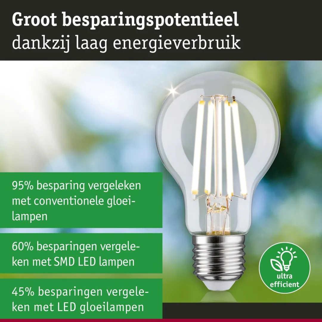Paulmann Eco-Line LED-gloeilamp E27 4W 840lm - Warm wit 3000K - afbeelding 6 van 6