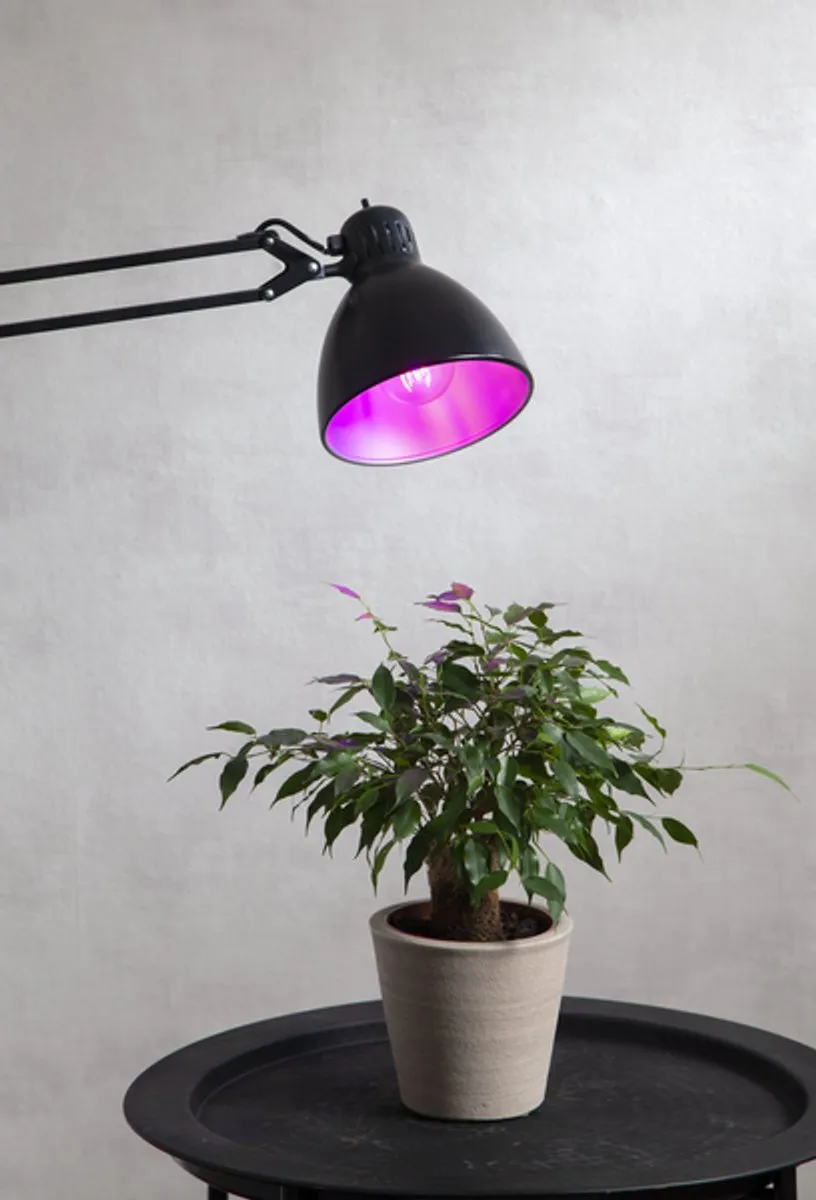 Star Trading Standaard Bol E27 6.5W Rood - 5 Stuks