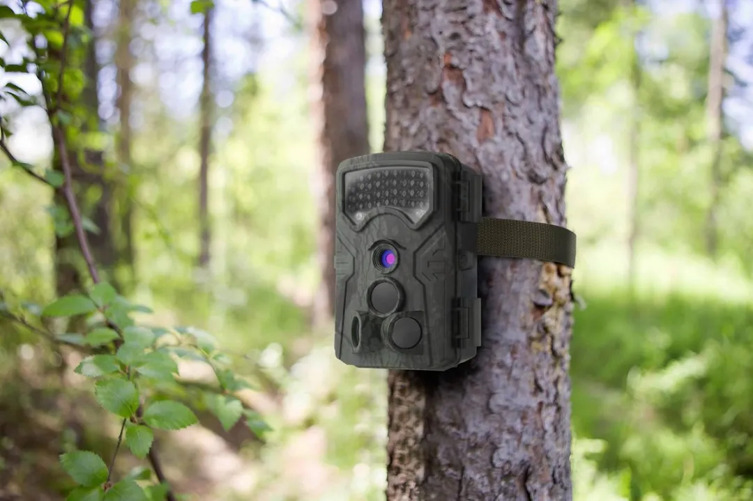Renkforce RF-HC-550 Camera Trap 13MP - Onderwater - afbeelding 6 van 6
