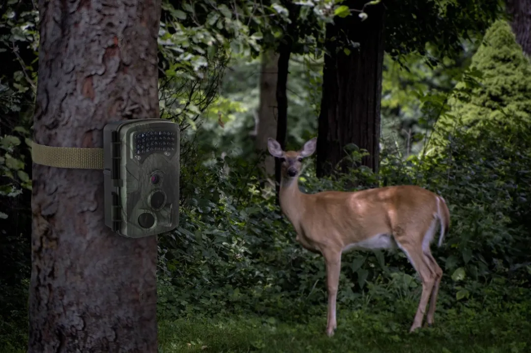 Renkforce RF-HC-550 Camera Trap 13MP - Onderwater